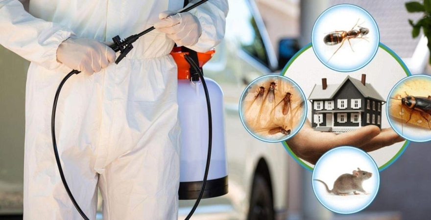 Honaz Böcek İlaçlama