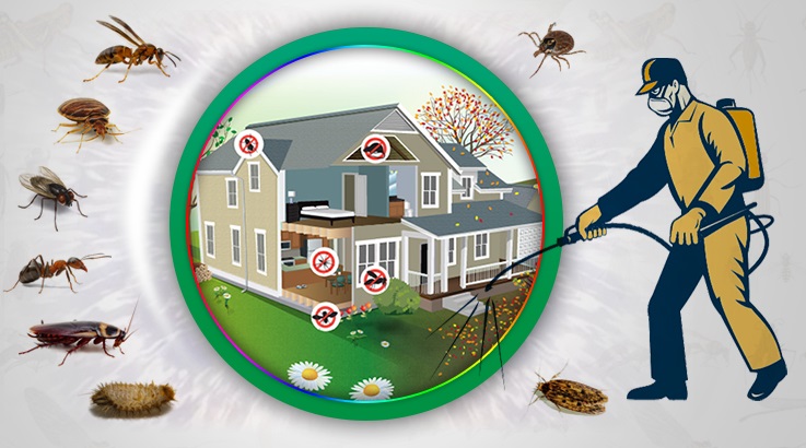 Honaz Böcek İlaçlama