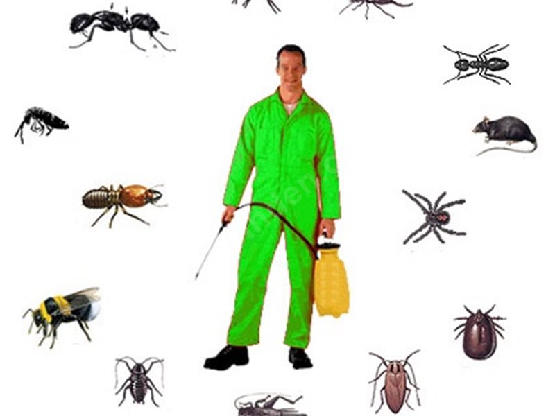 Honaz Böcek İlaçlama